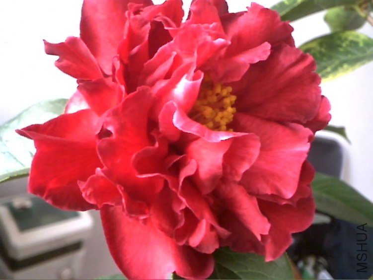 Picture 175.jpg
