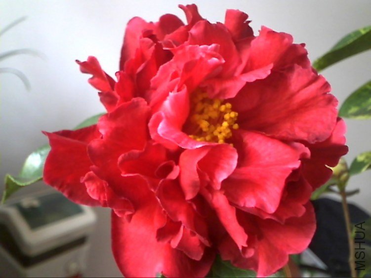 Picture 176.jpg
