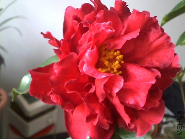 Picture 179.jpg