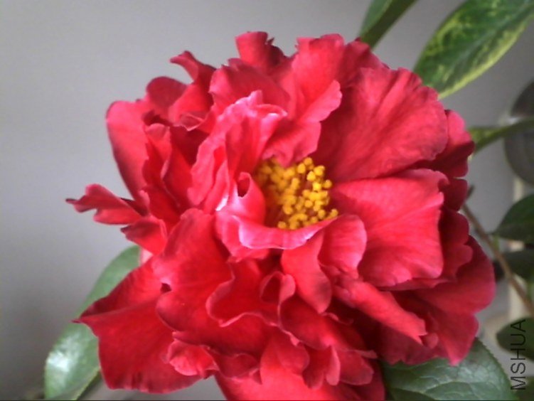 Picture 205.jpg
