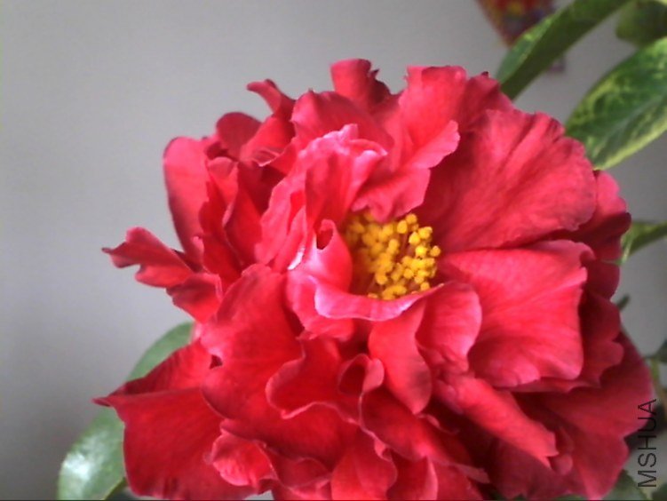 Picture 204.jpg