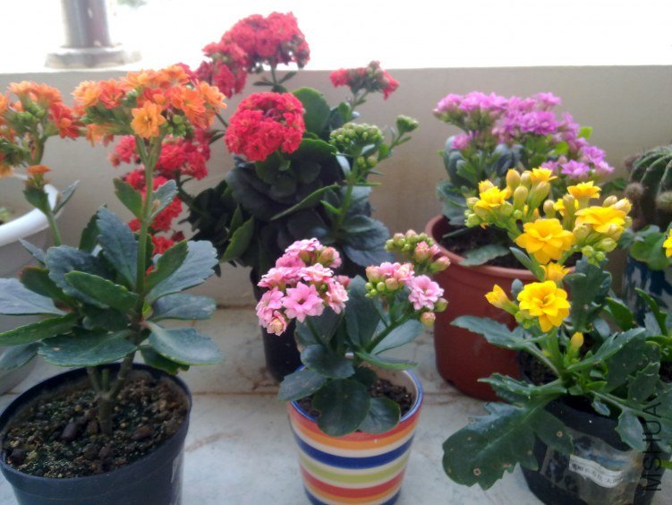 20120321806.jpg