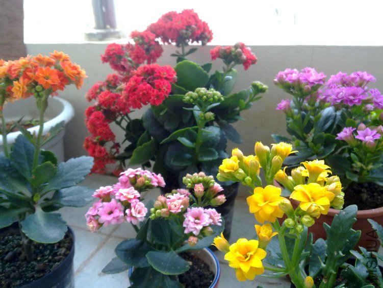 20120321807.jpg