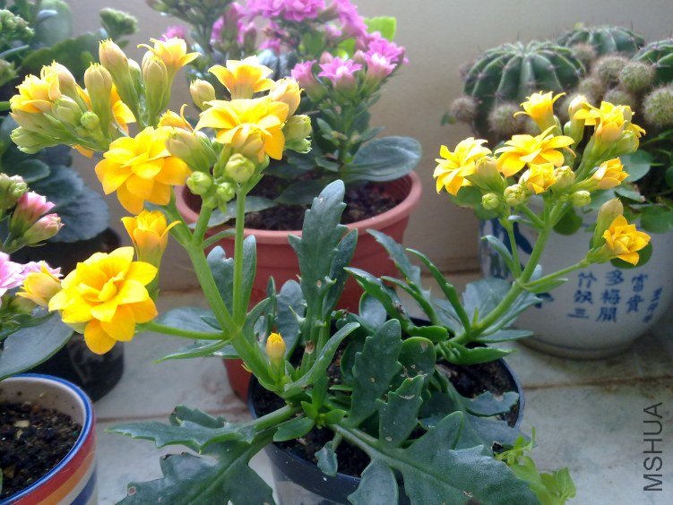 20120321809.jpg