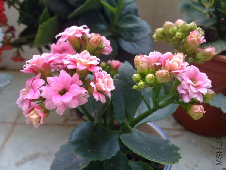 20120321810.jpg