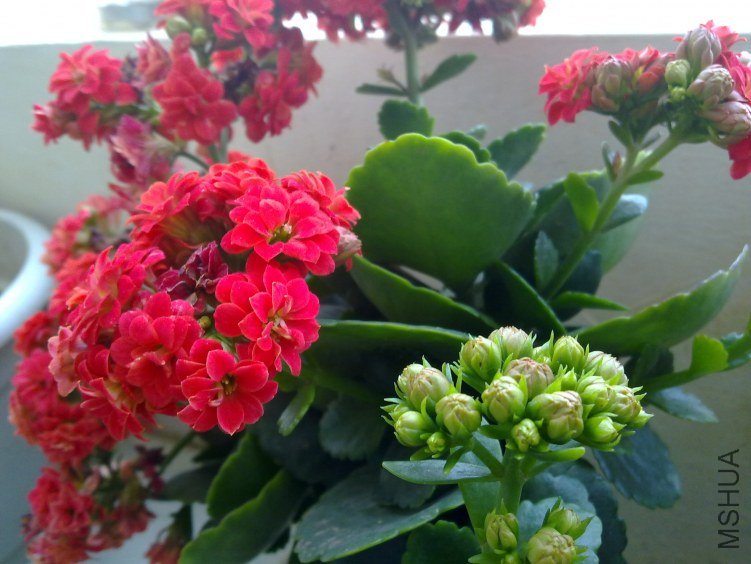 20120321812.jpg