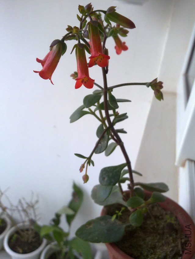 20120321813.jpg