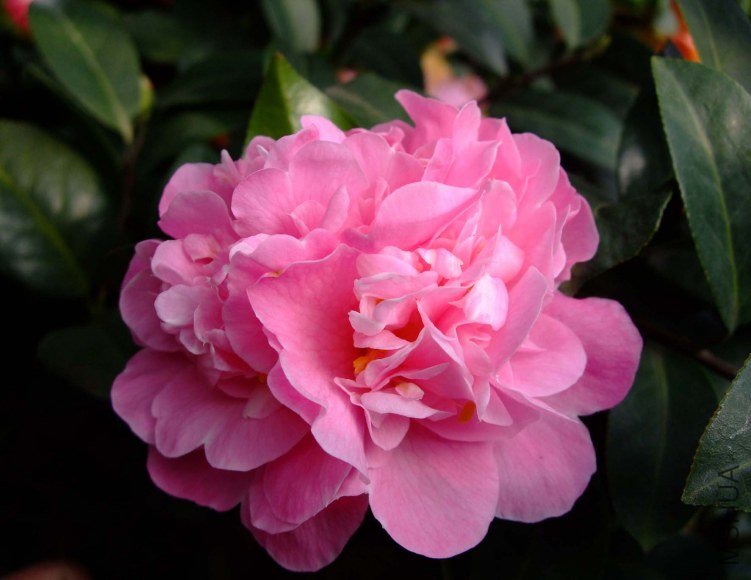 Ī������ 2012-3-21f 043.jpg