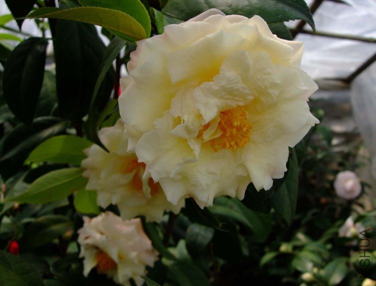 ������ 2012-3-21f 038.jpg