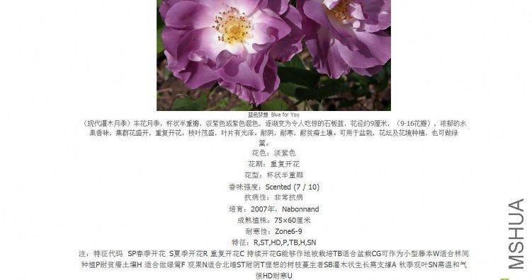 blue for you˵��.jpg