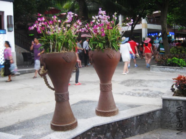 IMG_1334.JPG