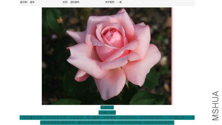 �ɰ�ŮʿLOVELY LADY.jpg