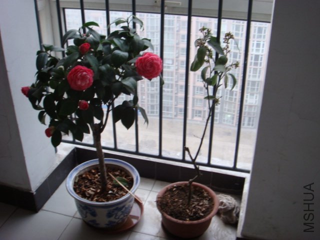 DSC02270.JPG