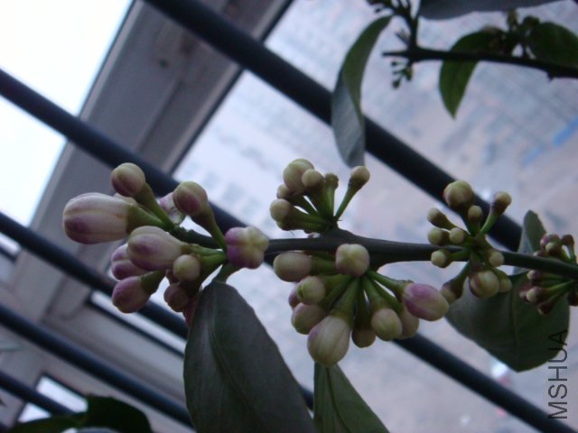 DSC02277.JPG