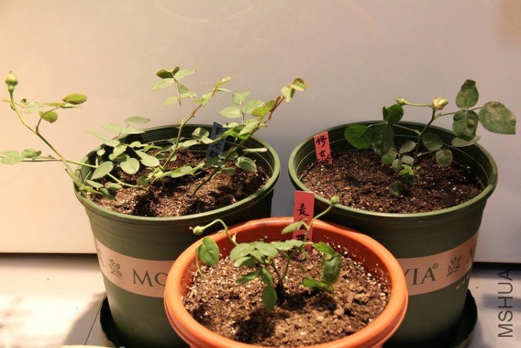 ��������Ӱ�������ء���Ů���������.jpg