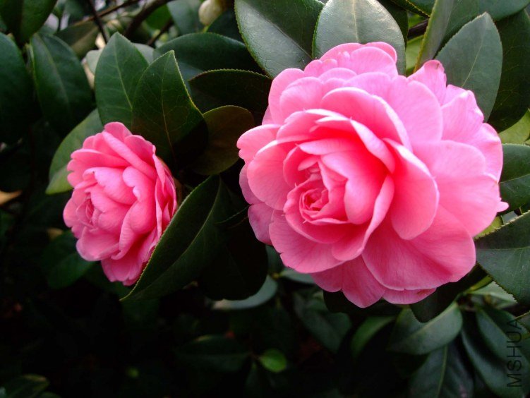 �������� 2012-3-22f 090.jpg