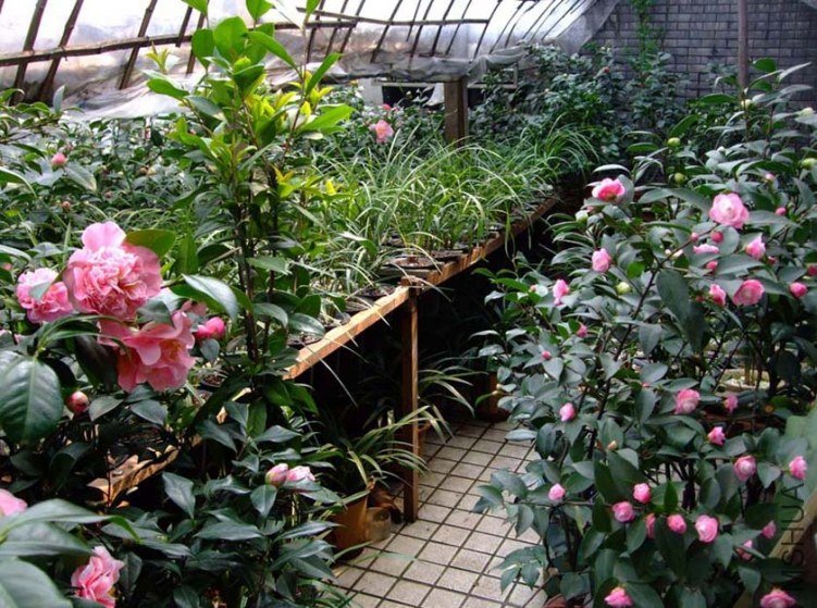 �軨԰ 2012-3-22f 118.jpg
