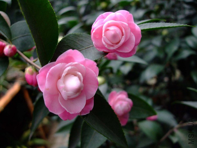 ������ 2012-3-22f 120.jpg