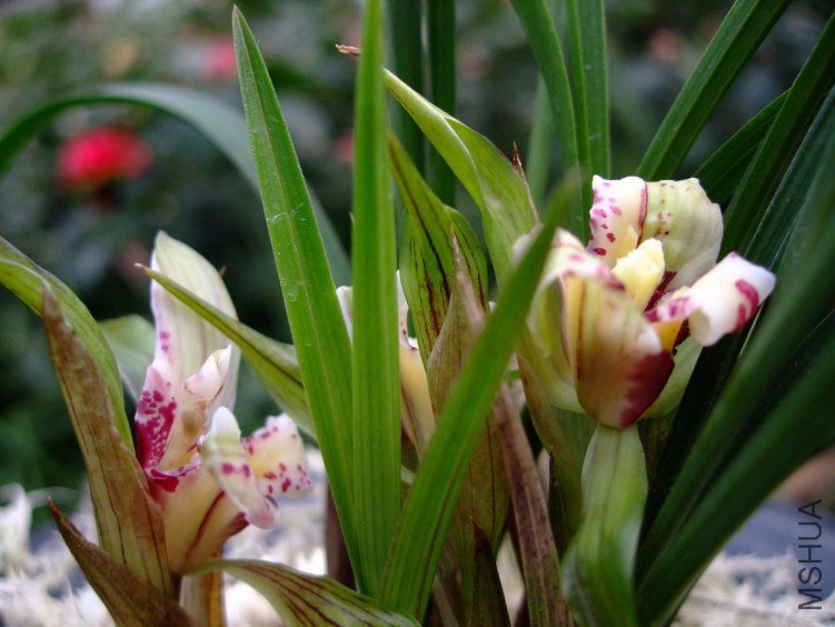 �����л� 2012-3-22f 008.jpg