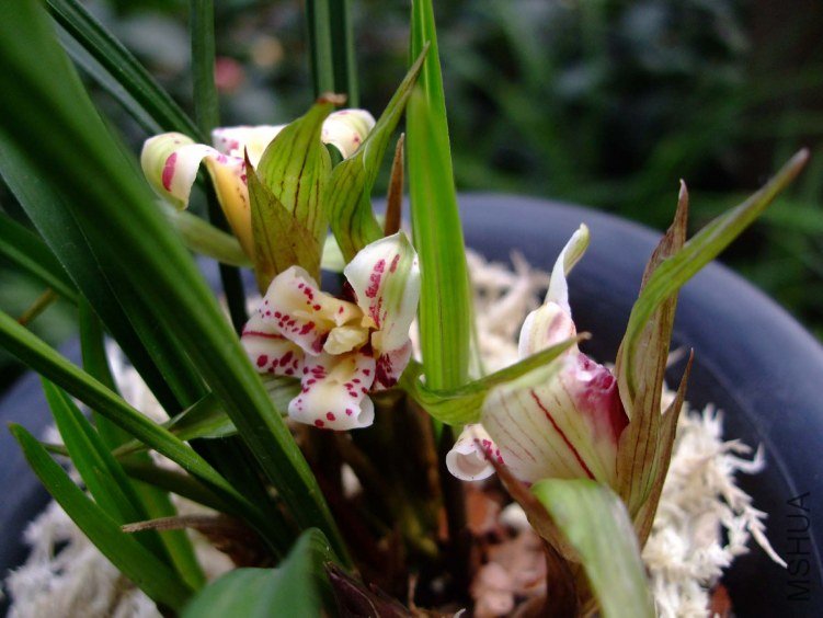 �����л� 2012-3-22f 007.jpg
