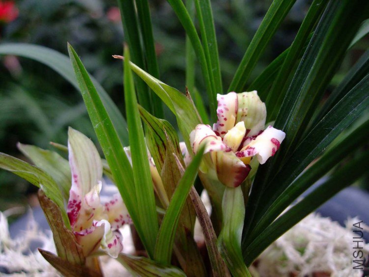 �����л� 2012-3-22f 006.jpg
