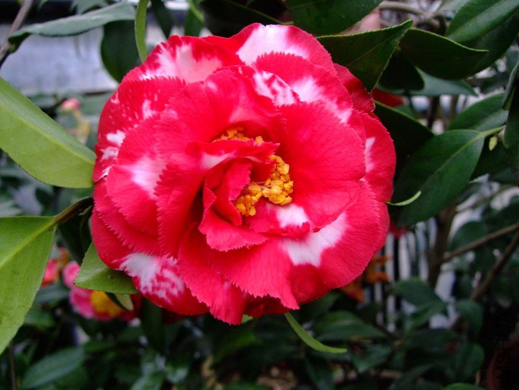 ������ 2012-3-23f 123.jpg