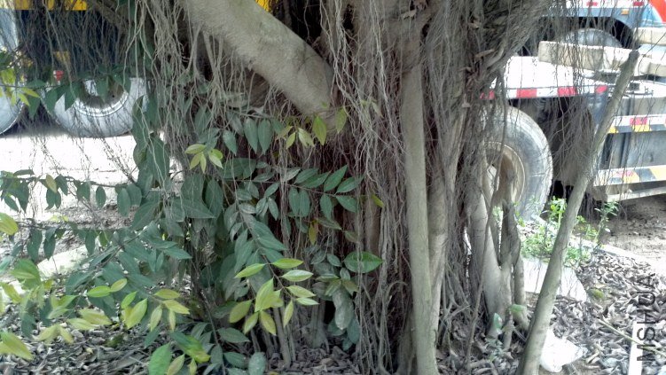 2012-03-23_15-14-03_341.jpg