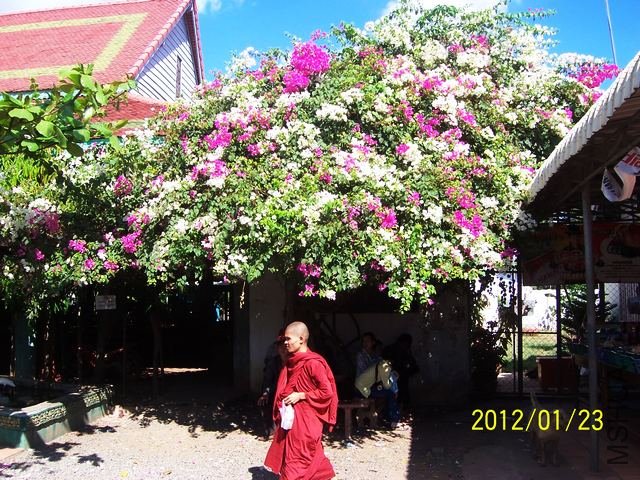 ������ 171.jpg