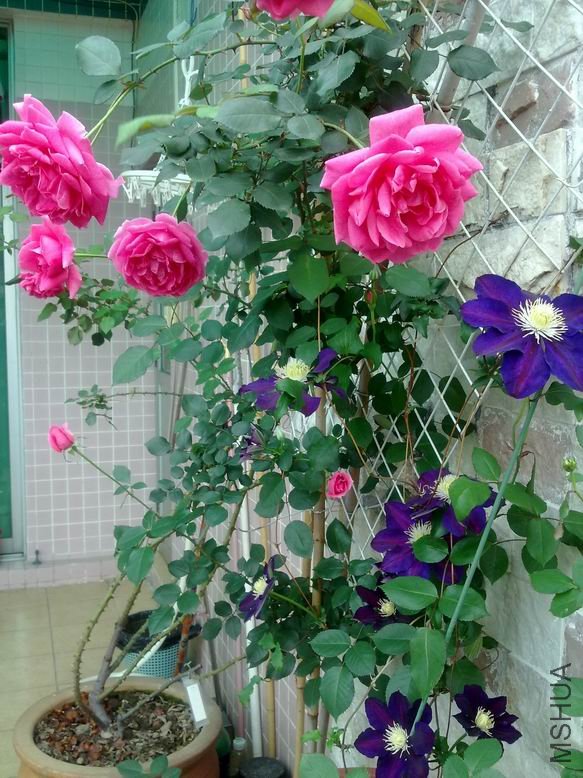 ��Ƭ 090.jpg