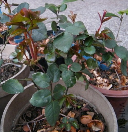 DSCF1299.jpg