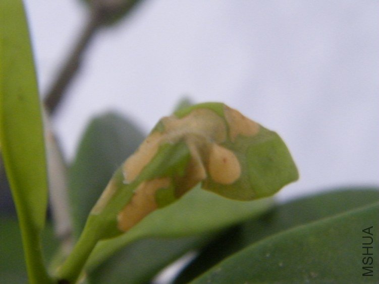 DSCF1339.jpg