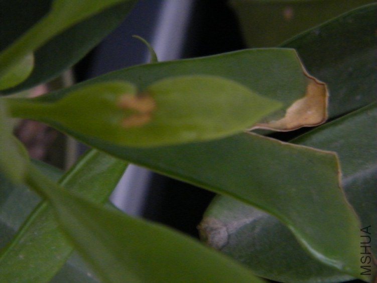 DSCF1341.jpg
