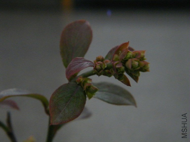 DSCF1325.jpg