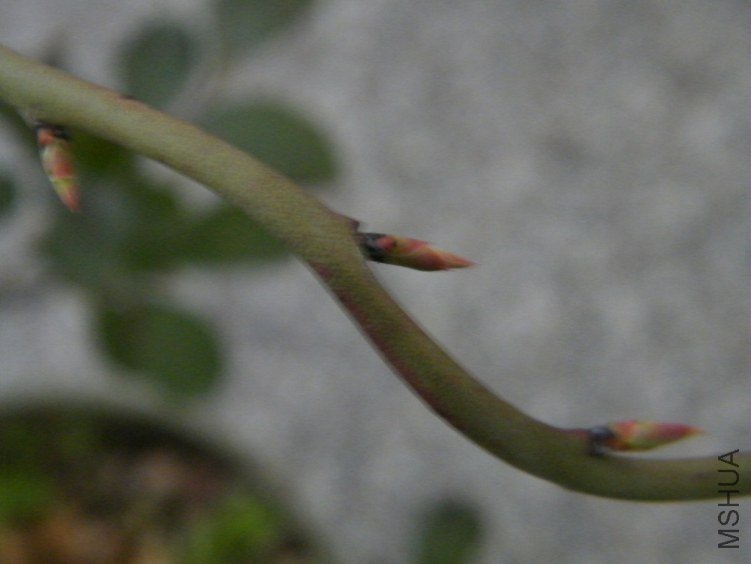 DSCF1331.jpg
