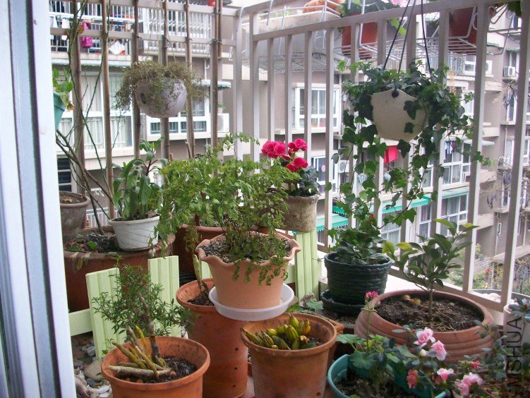 ����ʱ����̨