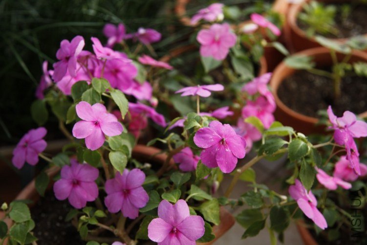 conew_��Ƭ 019.JPG