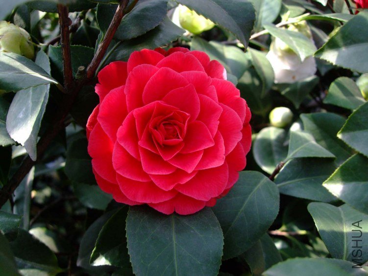 �ɶ� 2012-3-24f 041.jpg