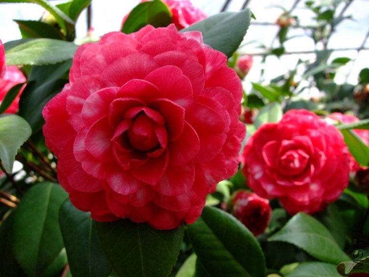 ������ 2012-3-24f 058.jpg