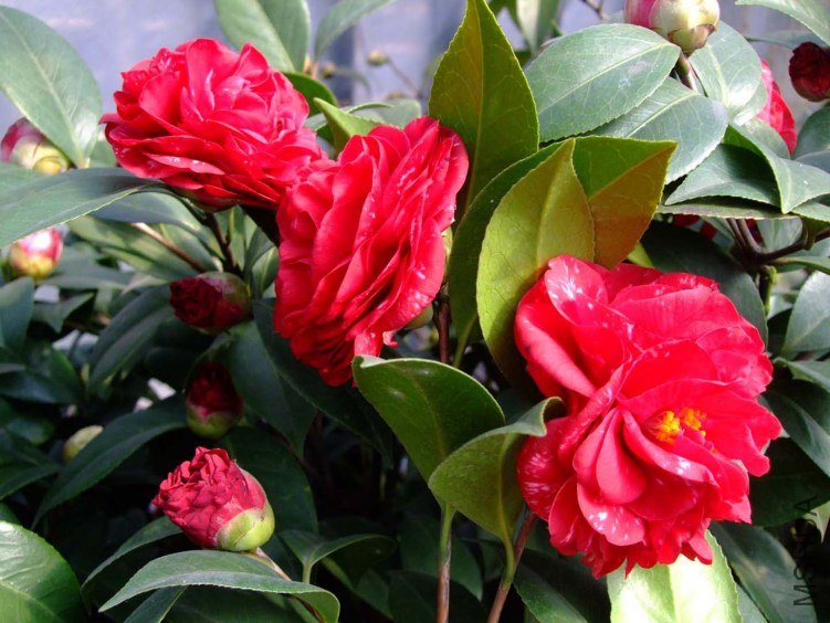 ħ���� 2012-3-24f 043.jpg