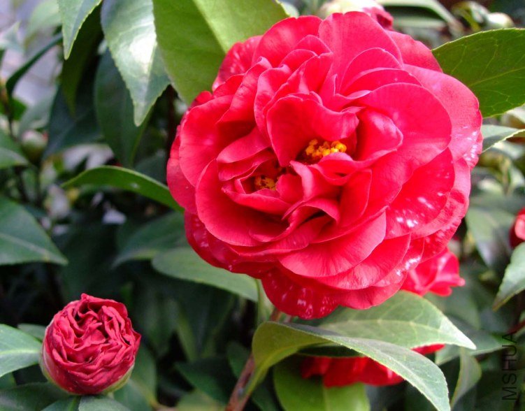 ħ���� 2012-3-24f 044.jpg