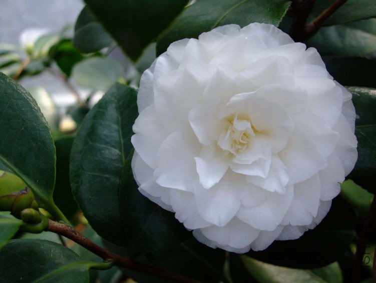 ţ�������� 2012-3-24f 037.jpg
