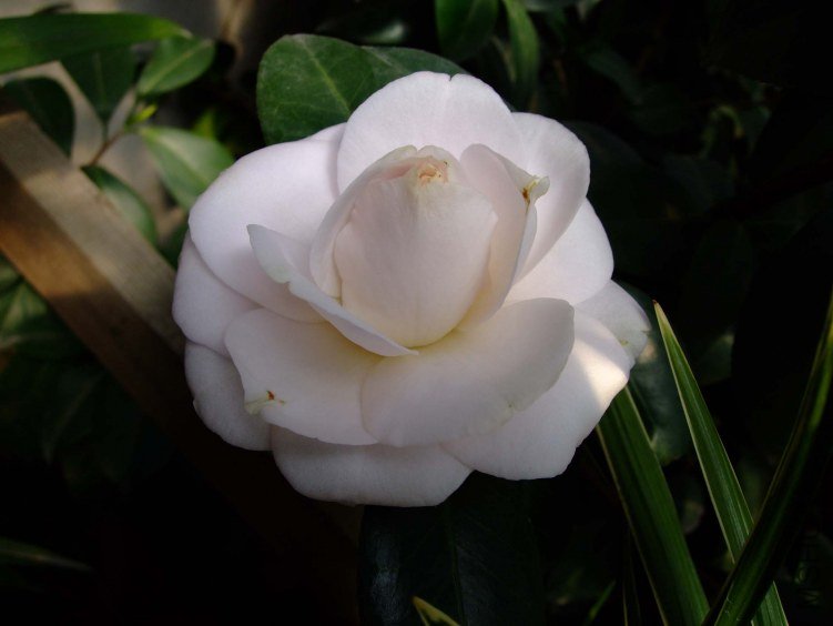 �¹��� 2012-3-24f 101.jpg