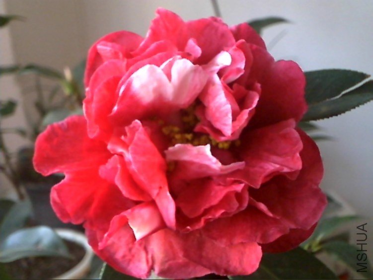 Picture 211.jpg
