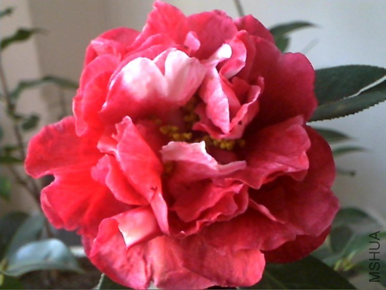 Picture 214.jpg