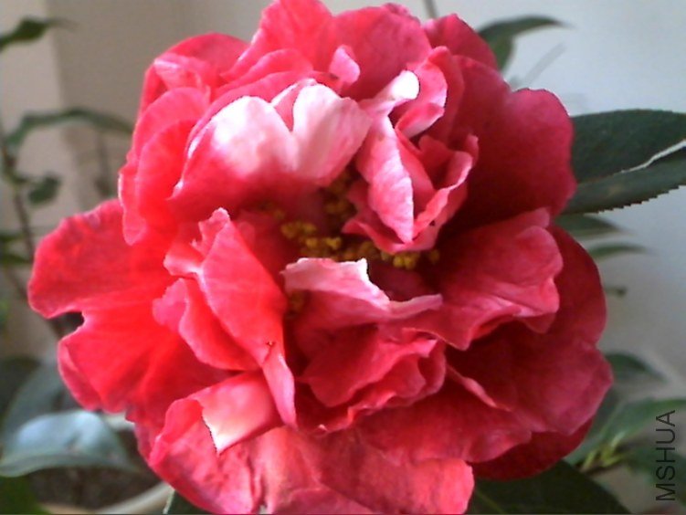 Picture 216.jpg