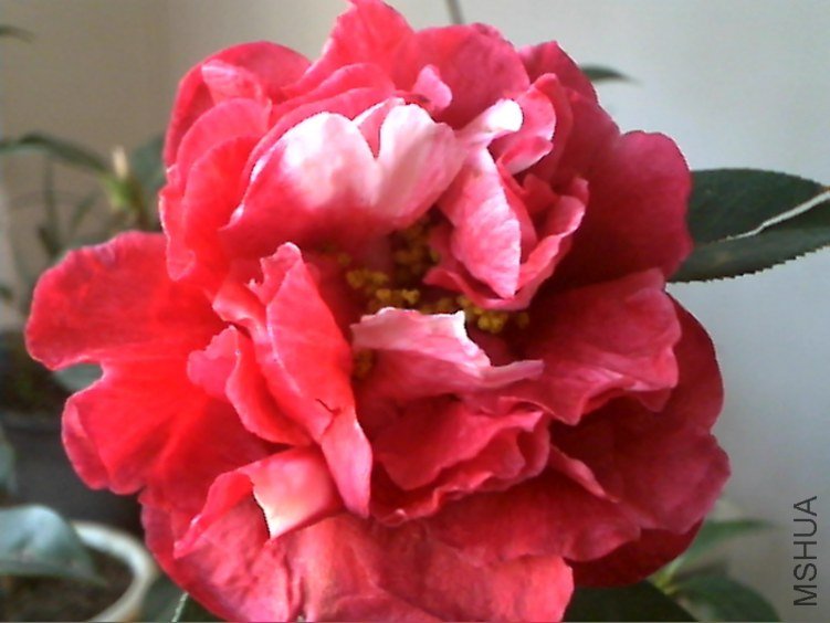 Picture 218.jpg