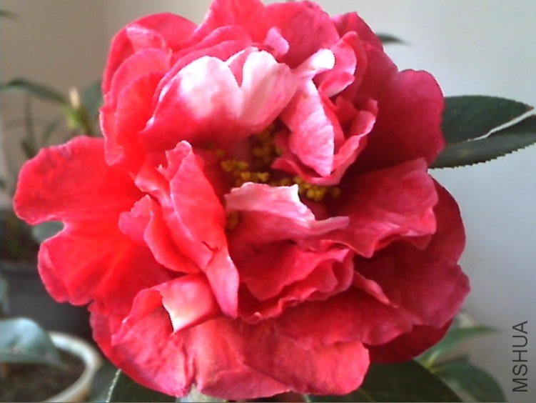 Picture 219.jpg