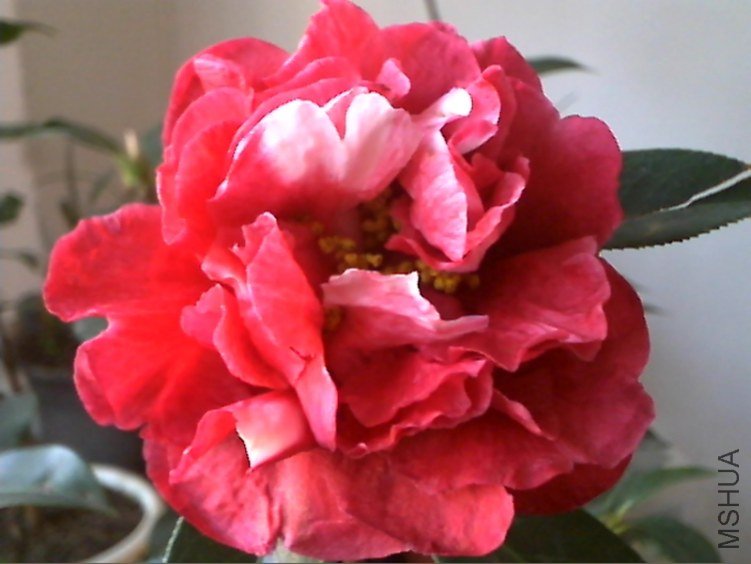 Picture 220.jpg