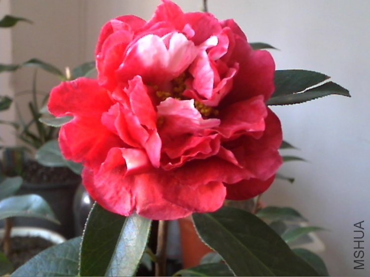 Picture 223.jpg