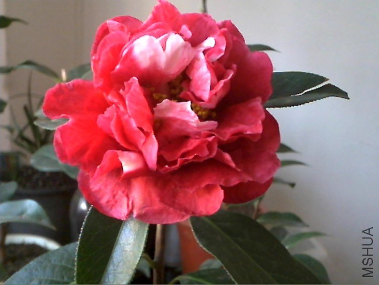 Picture 226.jpg